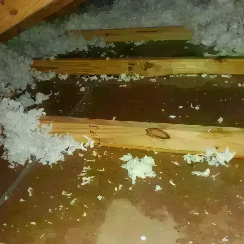 Attic Water Damage in Bennettsville, SC